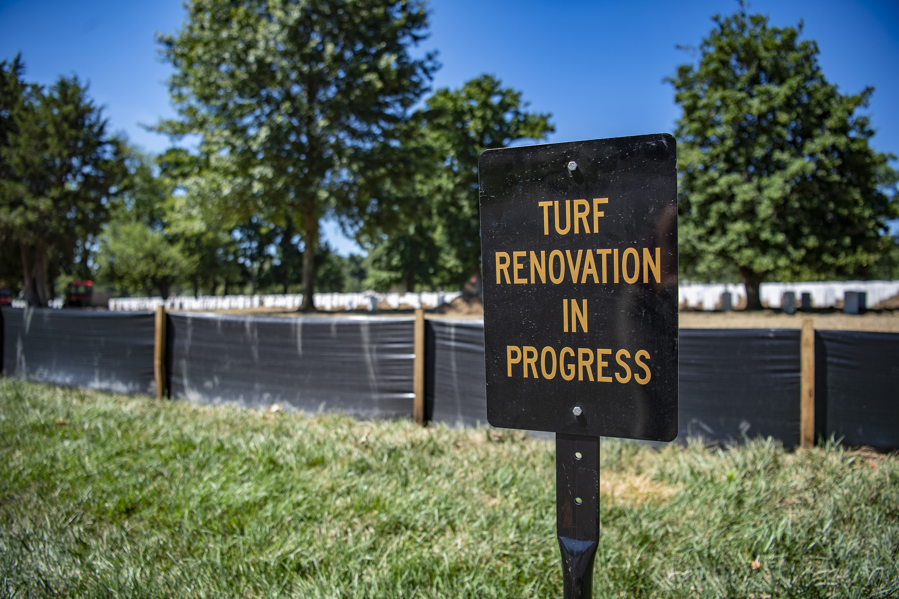 turf restoration 2